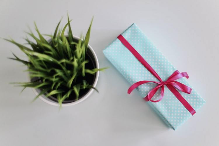 A Look Back at Our Best-Selling Handpicked Gifts for 2020 | Contempo 