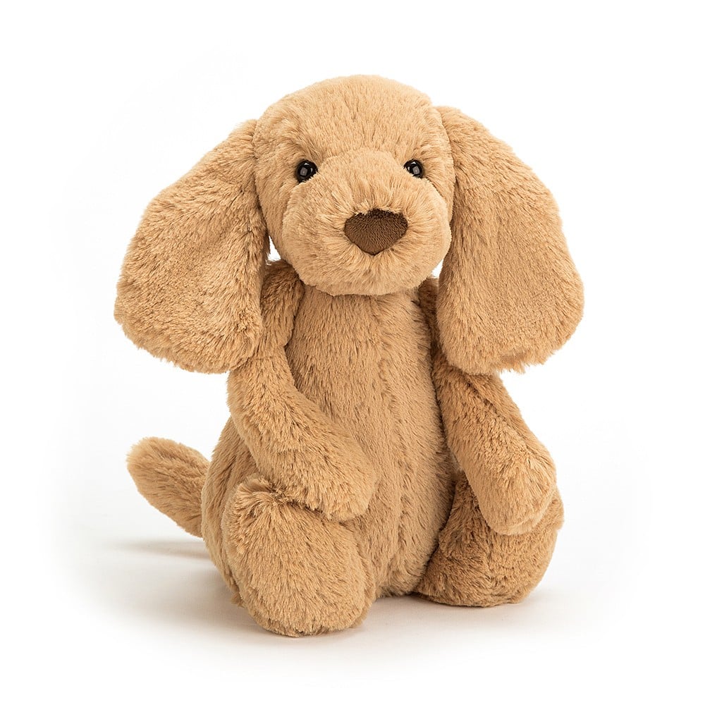 Jellycat Bashful Toffee Puppy sitting with floppy ears on white background