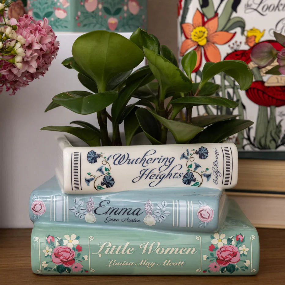 Stacked books ceramic planter with green plant on wooden shelf.