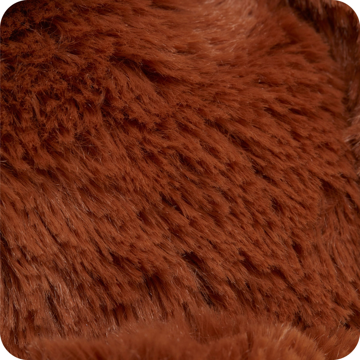 Close-up of Warmies Junior Highland Cow face with fluffy fringe.