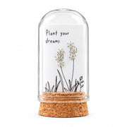 Clear crystal flower stud earrings on card inside glass terrarium held in hand
