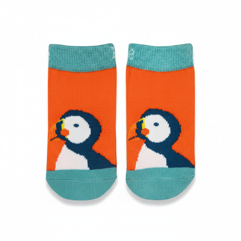 Pair of orange Kenzie the Puffin socks laid flat on an aqua and orange background