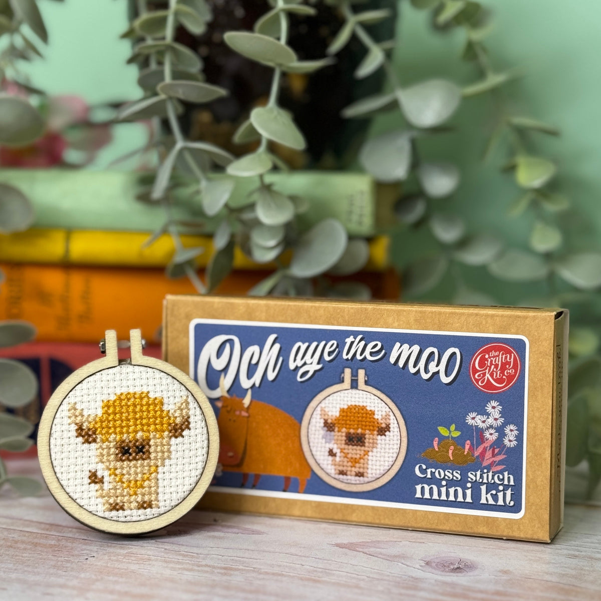 Highland cow cross stitch hoop beside its matchbox on a wooden shelf with plants