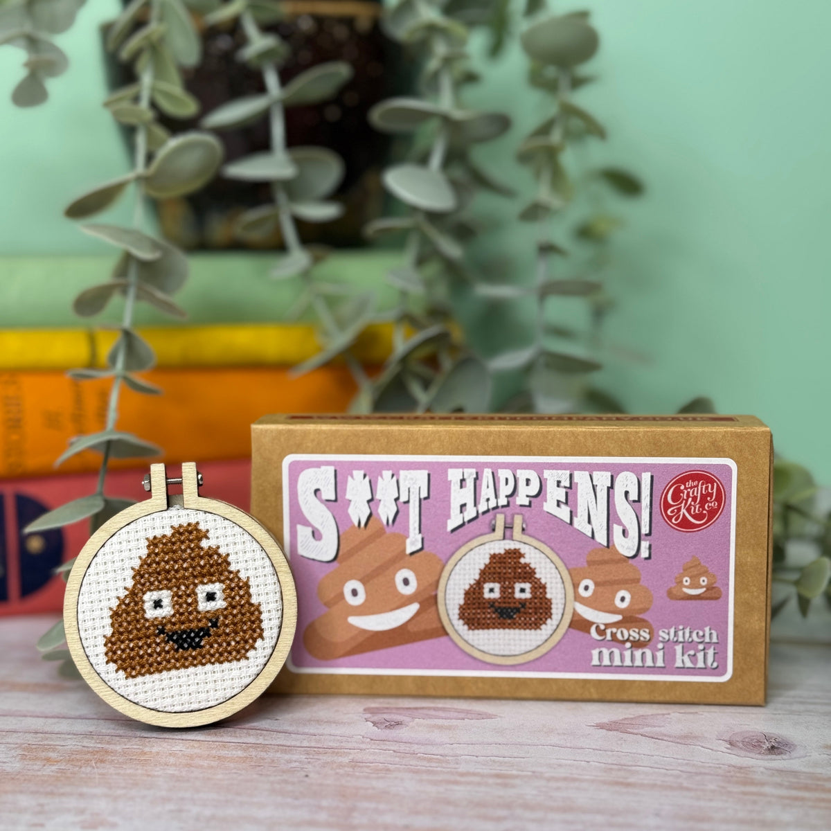 Poo emoji cross stitch hoop beside its matchbox with a trailing plant