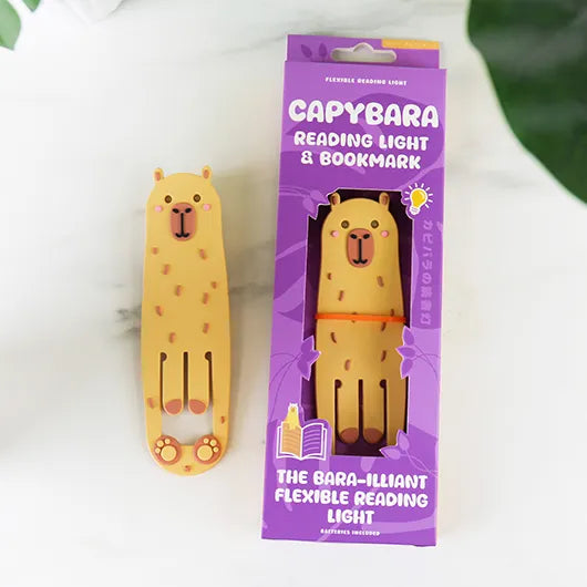 Capybara reading light and box on a marble surface with a plant