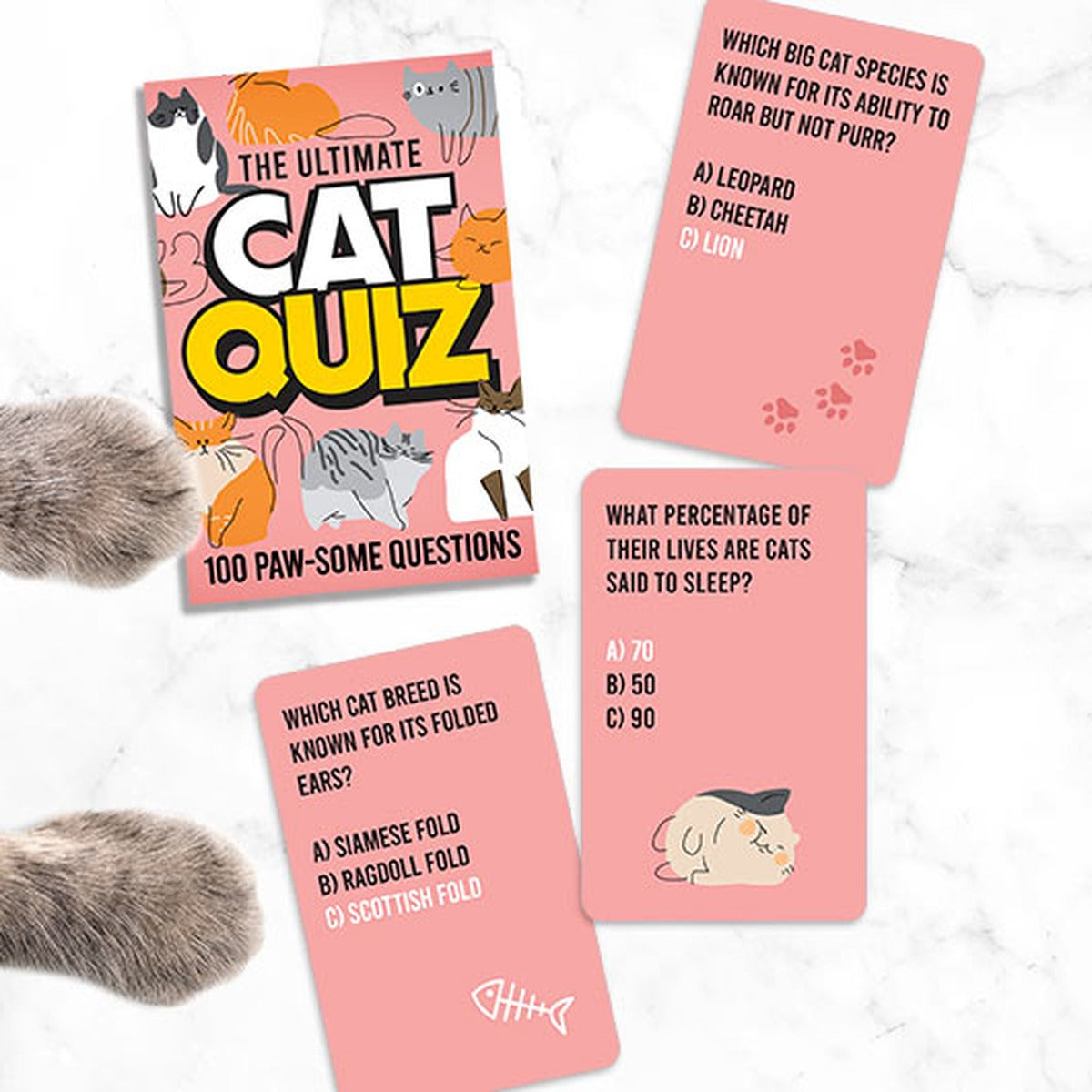 Cat Quiz pack with question cards and a cat tail alongside
