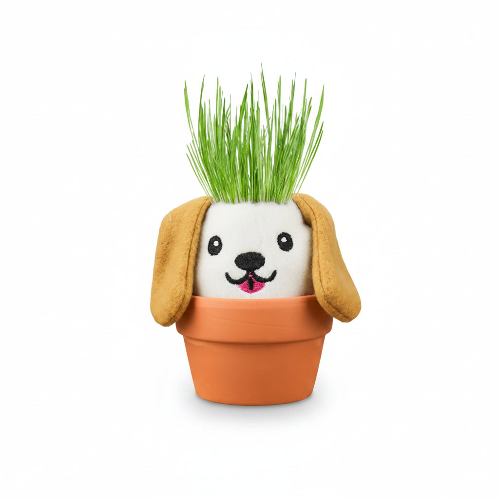 Dog grow pal on a wooden shelf beside houseplants