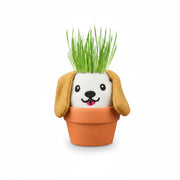 Dog grow pal on a wooden shelf beside houseplants