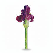 Purple iris bookmark front view and close-up on white background