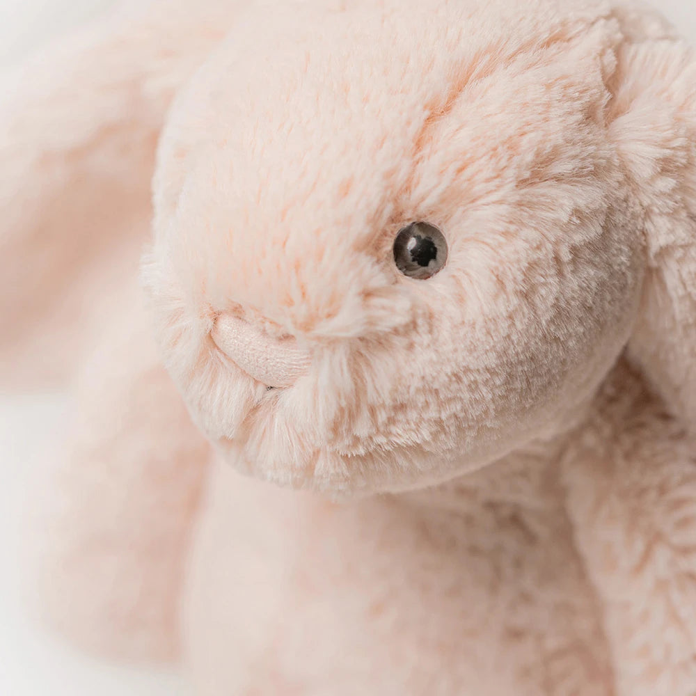 Close-up of the Bashful Blush Bunny face, nose and whiskers