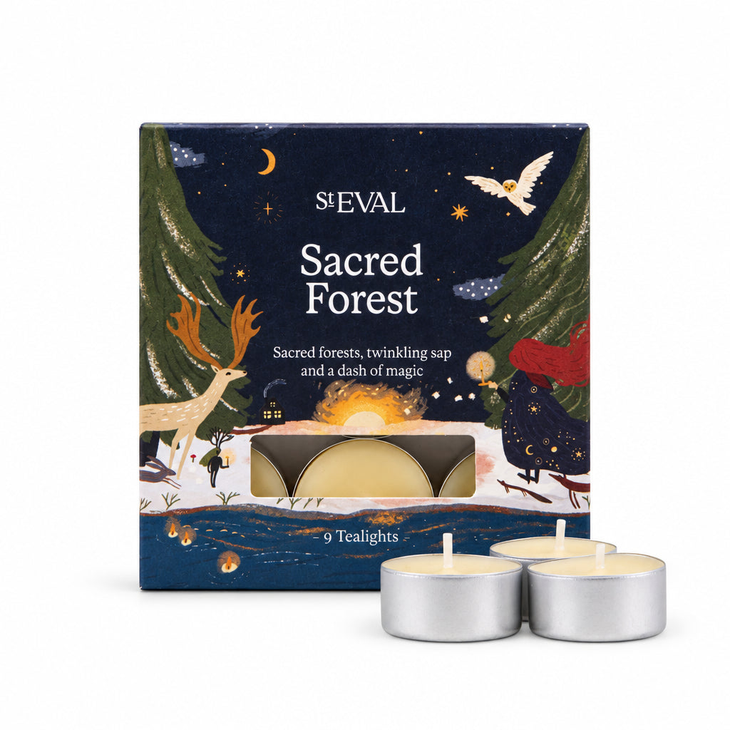 Sacred Forest Scented Christmas Tealights, Box of 9 with illustrated box and tealights on a cream background