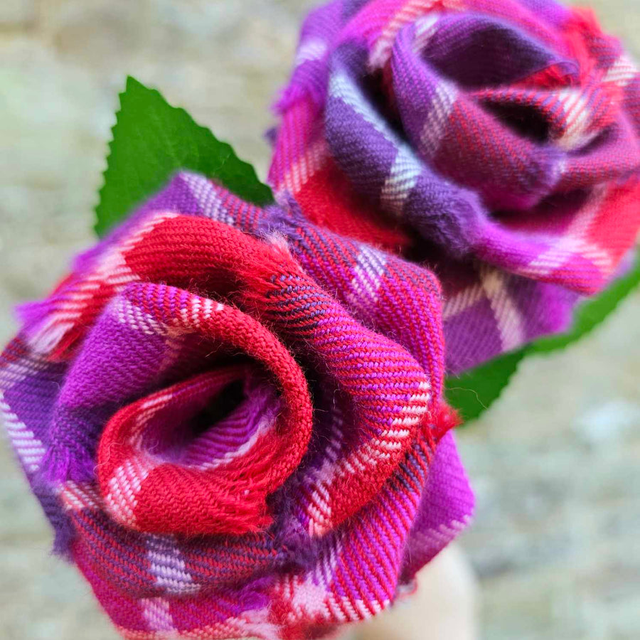 Love of Scotland tartan stem roses close up in pink and purple