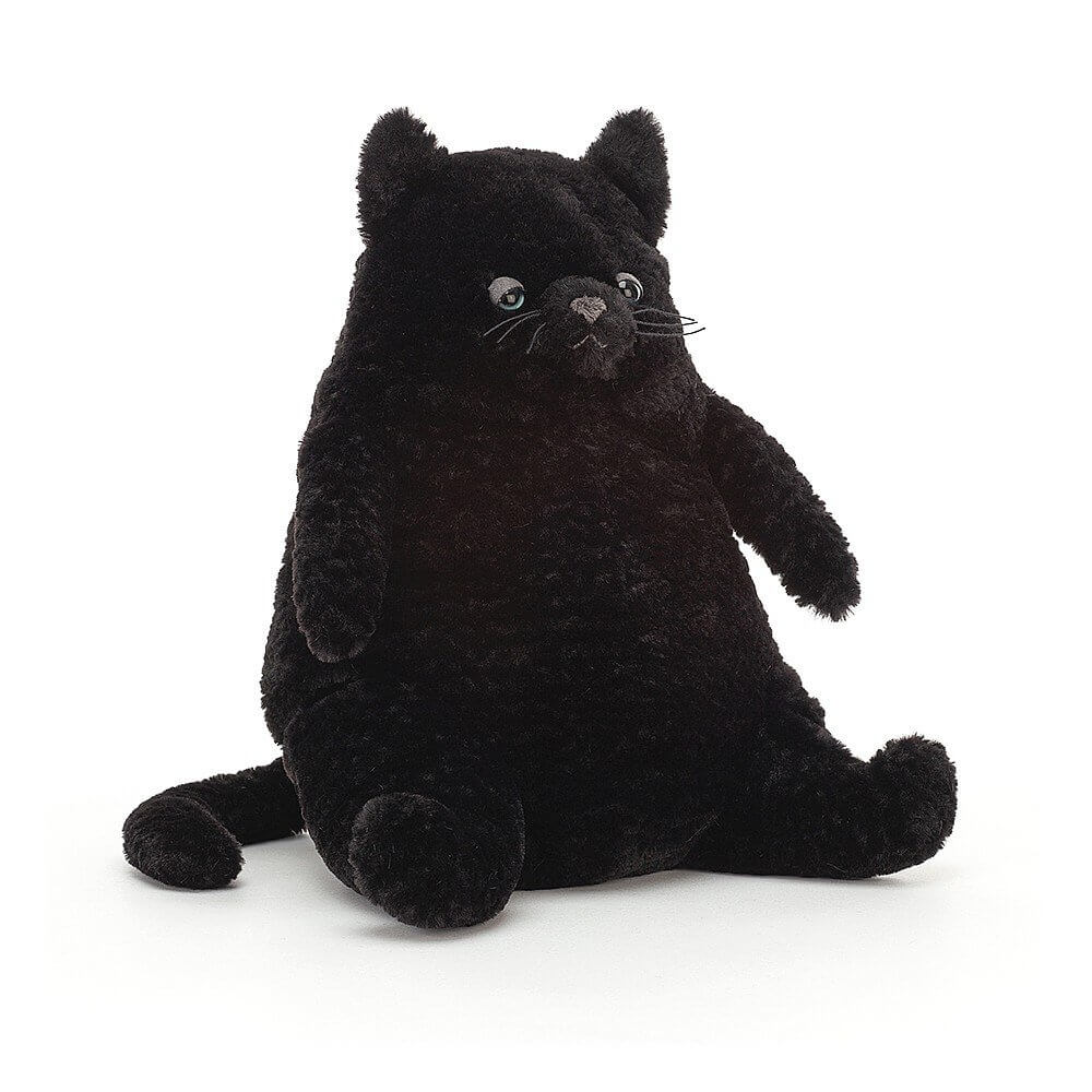 Amore is a big bundle of cuddles, a large cat with textured black fur and suitable for babies of all ages.